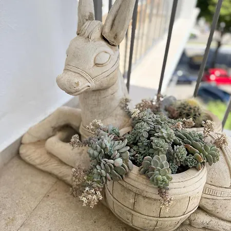 Del Mar Iv Center - Eaw Homes Lejlighed